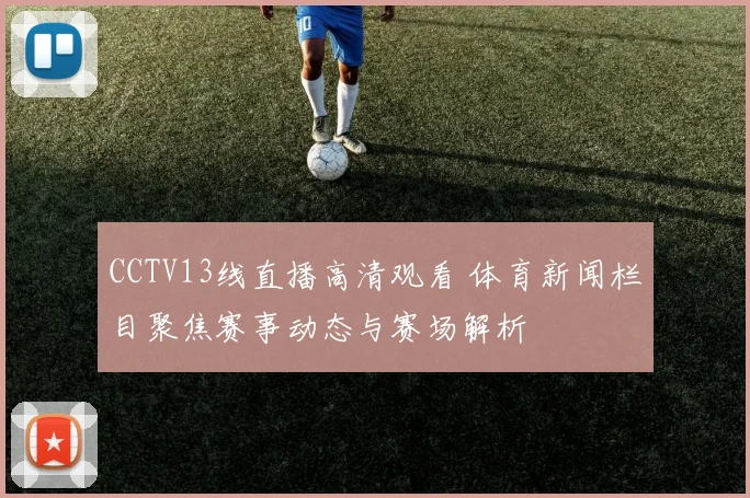 CCTV13线直播高清观看 体育新闻栏目聚焦赛事动态与赛场解析